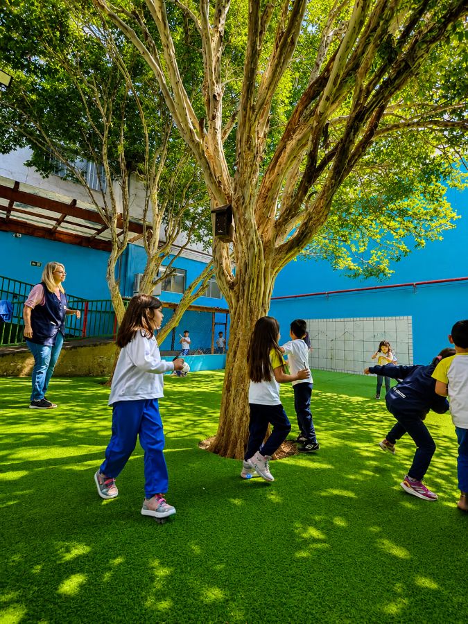 Curso de Férias no Colégio Conte