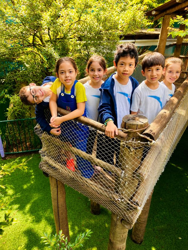Playground de madeira